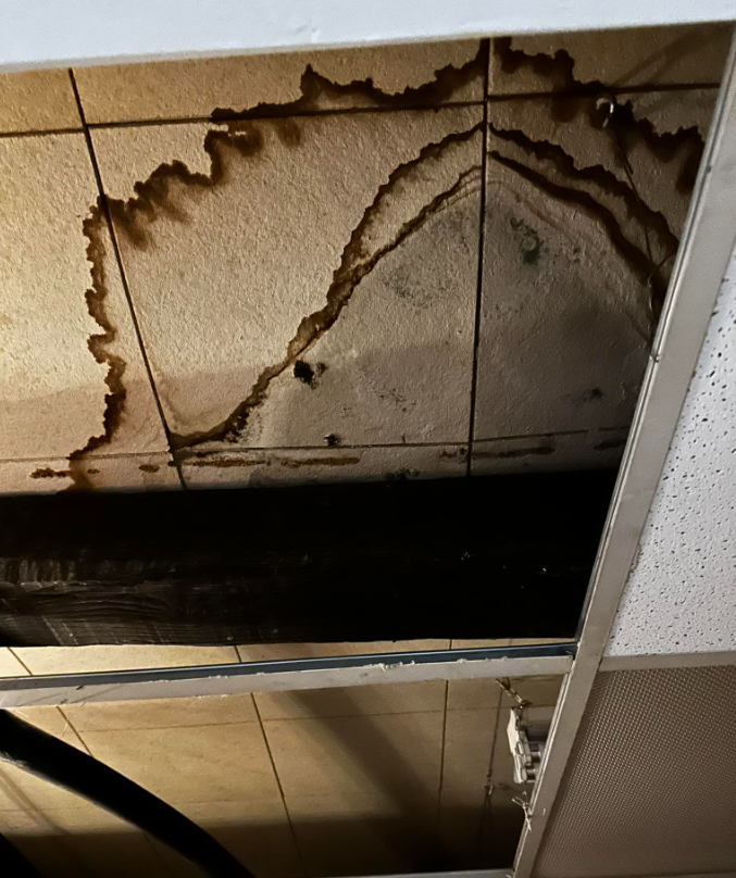 water leak ceiling mold