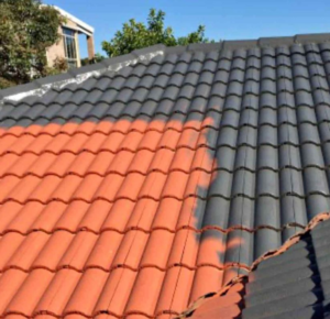 painting clay tile roof